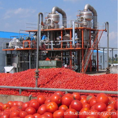 صنعتی ٹماٹر پیسٹ روٹری ویکیوم بخارات کا سامان